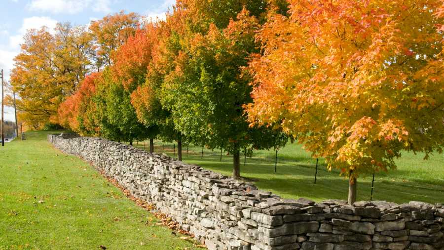 Scenic landscape of Pembroke, NY