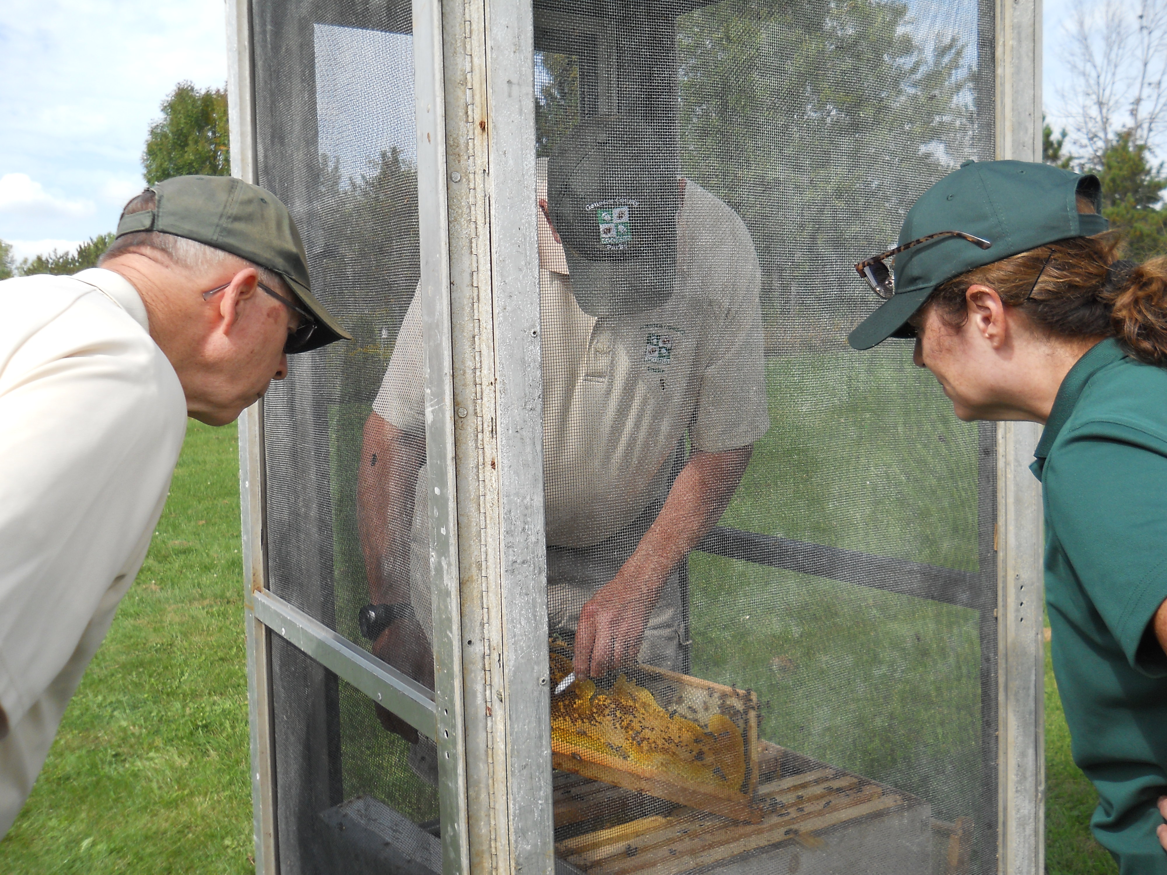 Honeybee Demonstration