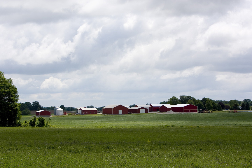 Scenic Farm Land 1 © Kristian S. Reynolds (23).jpg