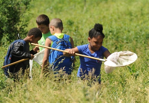 Children with butterfly nets